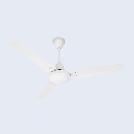 Fans