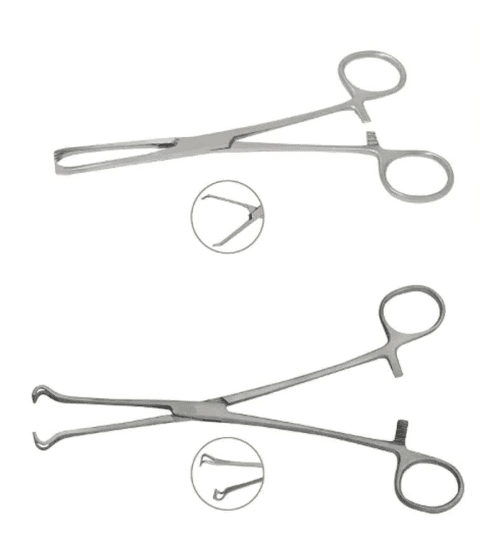 Forgesy 2 Pcs Stainless Steel Allis Tissue & Babcock Forcep Set, X56(X56)
