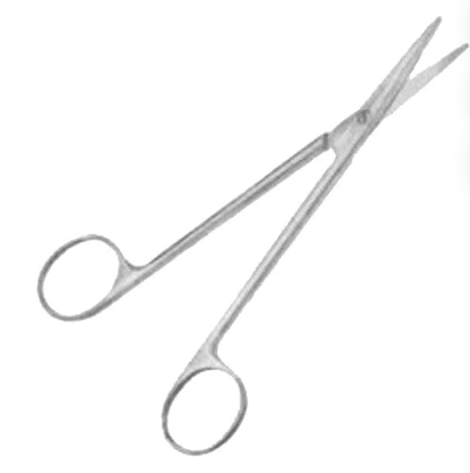 Forgesy 8 inch Straight Tonsil Scissor, FORGESY103(FORGESY103)